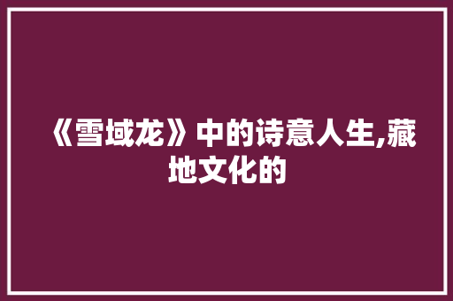 《雪域龙》中的诗意人生,藏地文化的