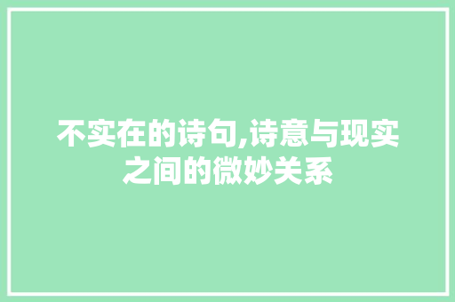 不实在的诗句,诗意与现实之间的微妙关系