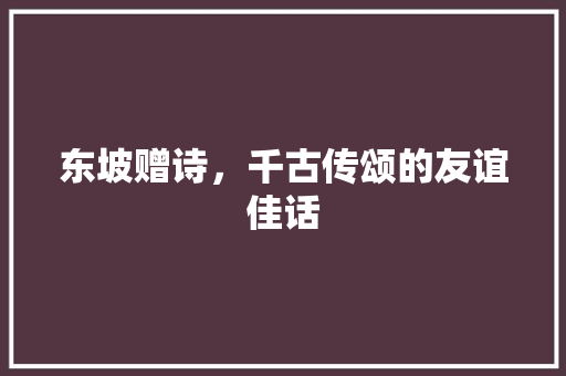 东坡赠诗，千古传颂的友谊佳话