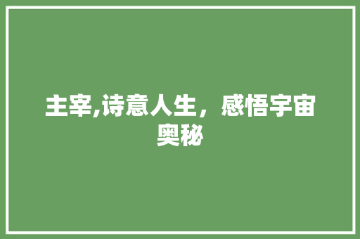 主宰,诗意人生，感悟宇宙奥秘 工作总结