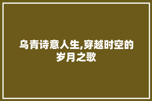 乌青诗意人生,穿越时空的岁月之歌