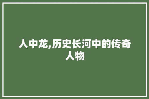 人中龙,历史长河中的传奇人物