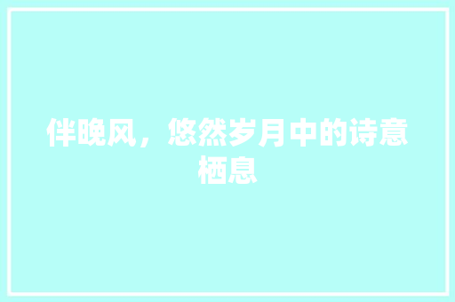 伴晚风，悠然岁月中的诗意栖息