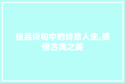 佳品诗句中的诗意人生,感悟古典之美