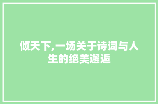 倾天下,一场关于诗词与人生的绝美邂逅