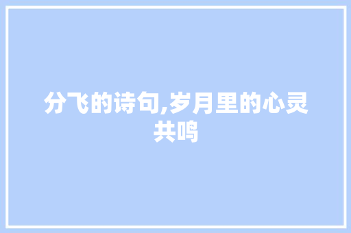 分飞的诗句,岁月里的心灵共鸣