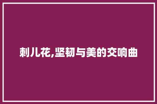 刺儿花,坚韧与美的交响曲