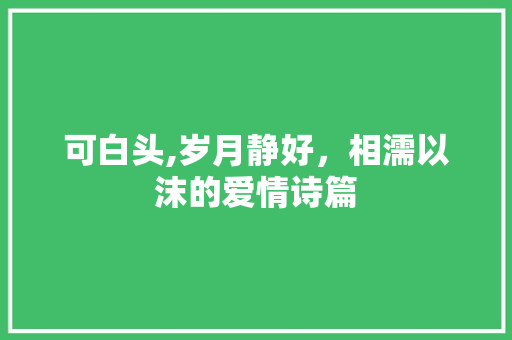 可白头,岁月静好，相濡以沫的爱情诗篇