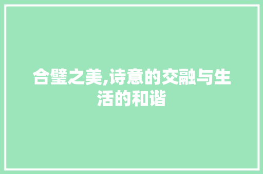 合璧之美,诗意的交融与生活的和谐