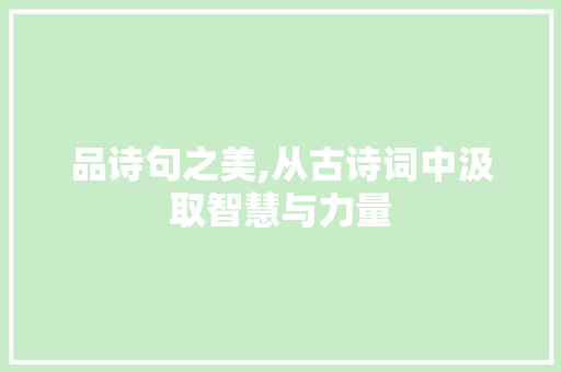 品诗句之美,从古诗词中汲取智慧与力量