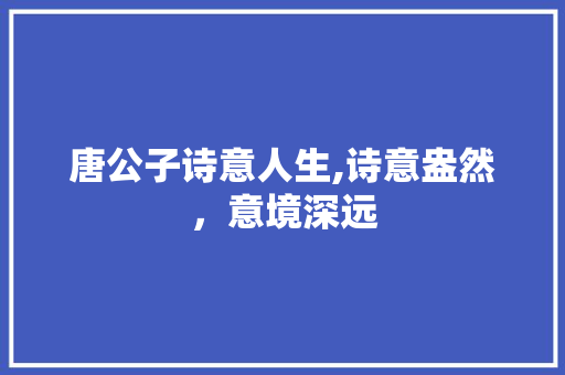 唐公子诗意人生,诗意盎然，意境深远