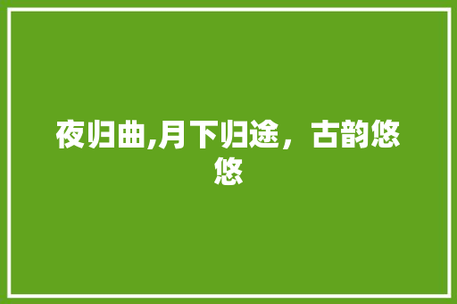 夜归曲,月下归途，古韵悠悠