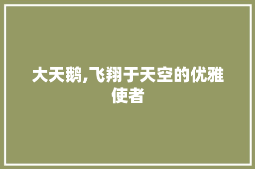大天鹅,飞翔于天空的优雅使者
