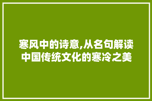 寒风中的诗意,从名句解读中国传统文化的寒冷之美