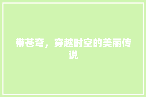 带苍穹，穿越时空的美丽传说