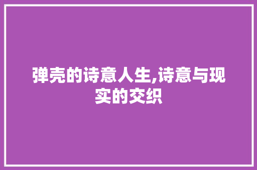 弹壳的诗意人生,诗意与现实的交织
