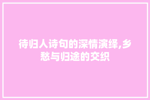 待归人诗句的深情演绎,乡愁与归途的交织