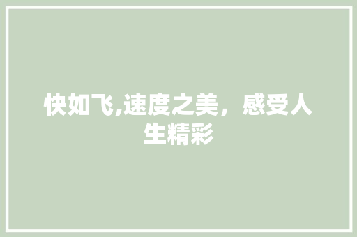 快如飞,速度之美，感受人生精彩