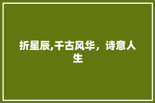 折星辰,千古风华，诗意人生