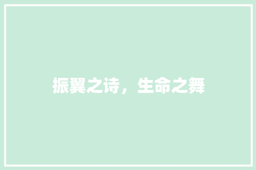 振翼之诗，生命之舞