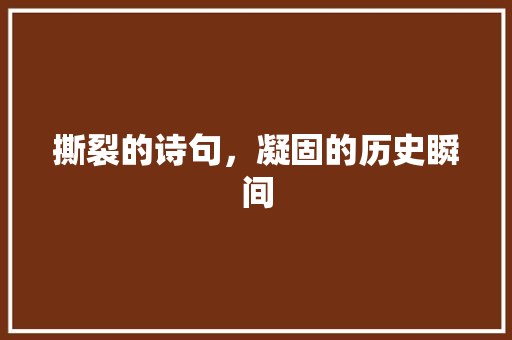 撕裂的诗句，凝固的历史瞬间