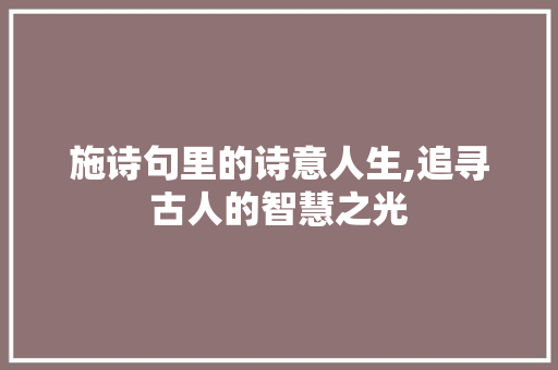 施诗句里的诗意人生,追寻古人的智慧之光