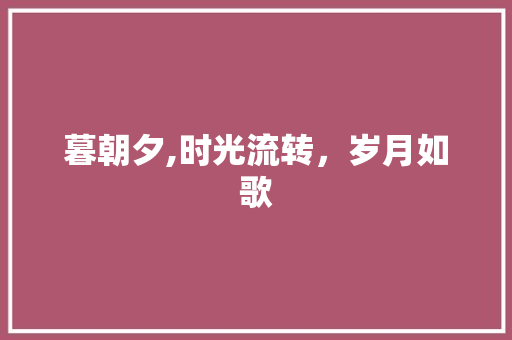 暮朝夕,时光流转，岁月如歌
