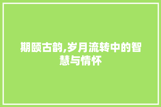 期颐古韵,岁月流转中的智慧与情怀