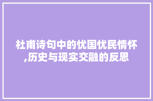杜甫诗句中的忧国忧民情怀,历史与现实交融的反思