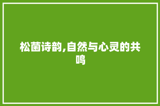 松菌诗韵,自然与心灵的共鸣