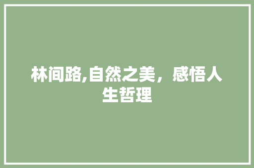 林间路,自然之美，感悟人生哲理