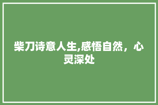 柴刀诗意人生,感悟自然，心灵深处