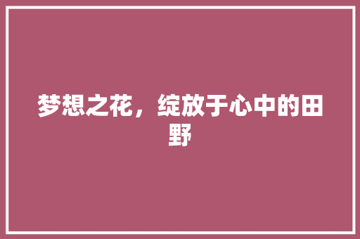 梦想之花，绽放于心中的田野