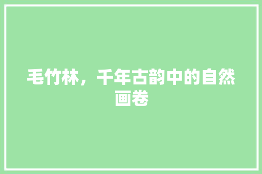毛竹林，千年古韵中的自然画卷