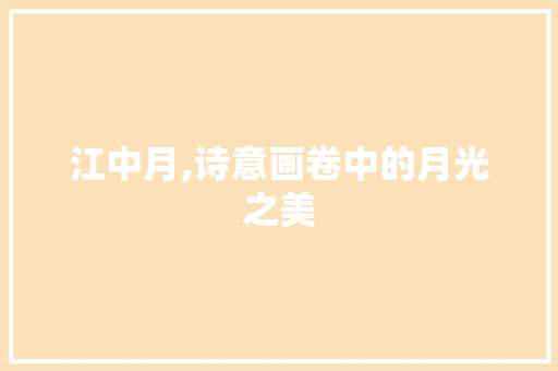 江中月,诗意画卷中的月光之美 应用文