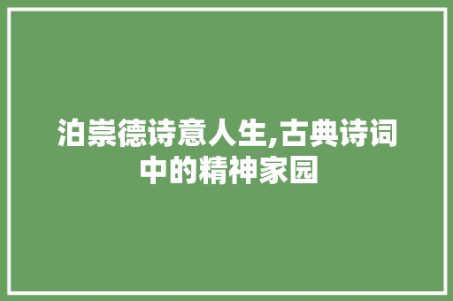 泊崇德诗意人生,古典诗词中的精神家园
