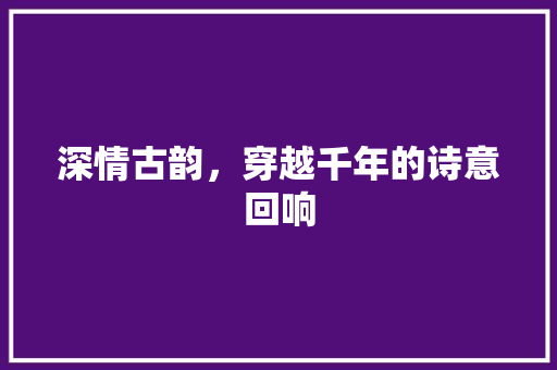 深情古韵，穿越千年的诗意回响