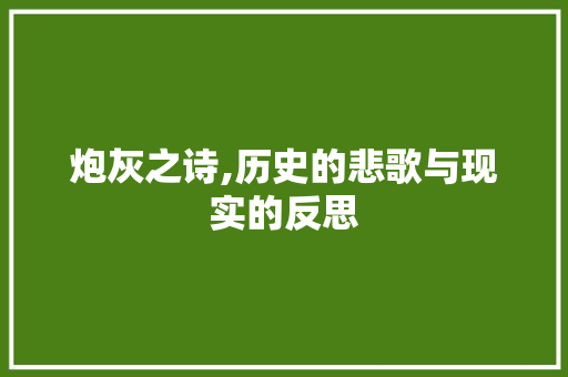 炮灰之诗,历史的悲歌与现实的反思