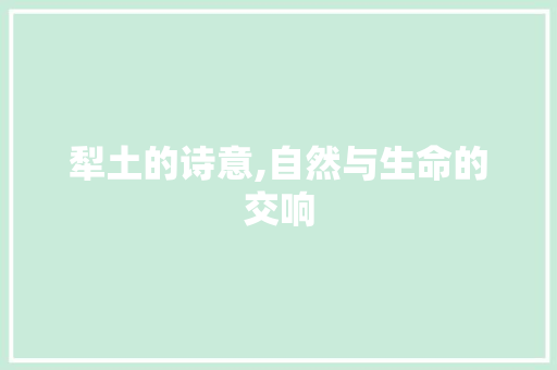 犁土的诗意,自然与生命的交响