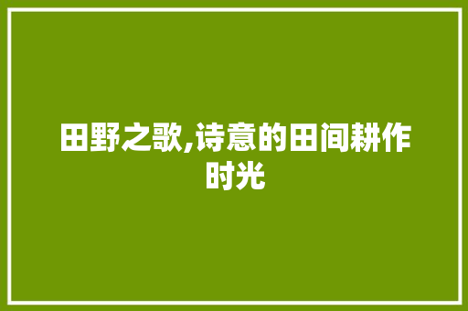 田野之歌,诗意的田间耕作时光