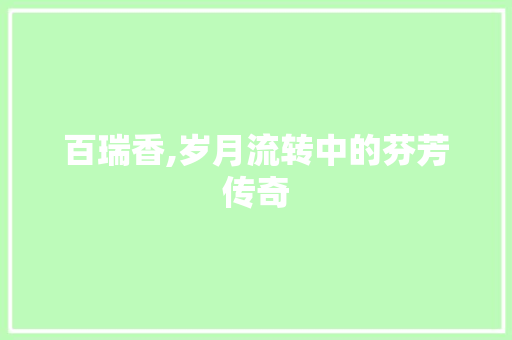百瑞香,岁月流转中的芬芳传奇