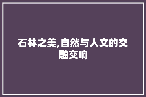 石林之美,自然与人文的交融交响