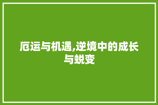 厄运与机遇,逆境中的成长与蜕变 社交媒体