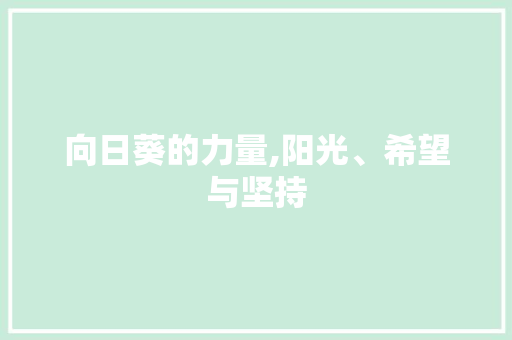 向日葵的力量,阳光、希望与坚持 诗词应用