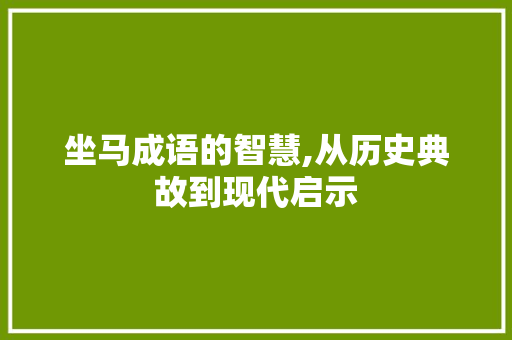 坐马成语的智慧,从历史典故到现代启示