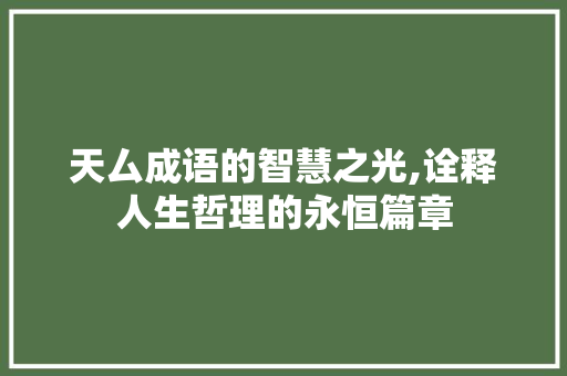 天厶成语的智慧之光,诠释人生哲理的永恒篇章