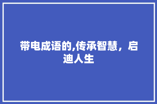 带电成语的,传承智慧，启迪人生