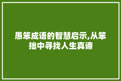愚笨成语的智慧启示,从笨拙中寻找人生真谛