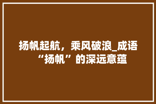 扬帆起航，乘风破浪_成语“扬帆”的深远意蕴