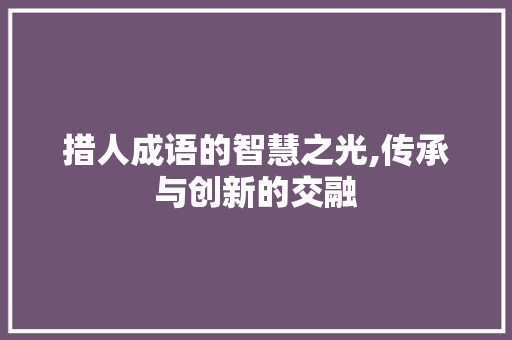 措人成语的智慧之光,传承与创新的交融 工作总结